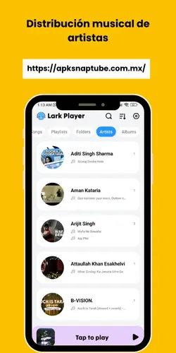 Distribución musical de artistas