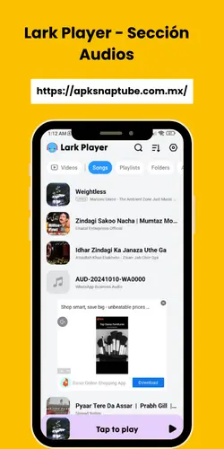 Lark Player - Sección Audios